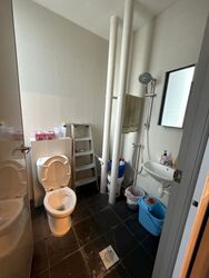 Vertex (D14), Office #447281411